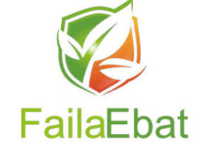 logo faila ebat